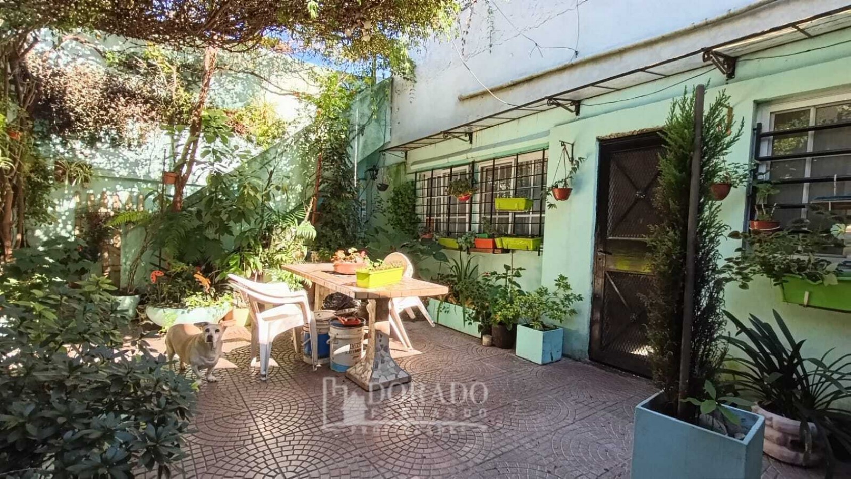 PH PLANTA BAJA 5 AMBIENTES - 130 Mts²